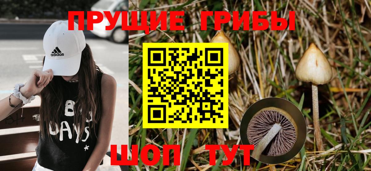 Галлюциногенные грибы Cubensis  Вход с VPN  купить наркоту  Малоярославец 